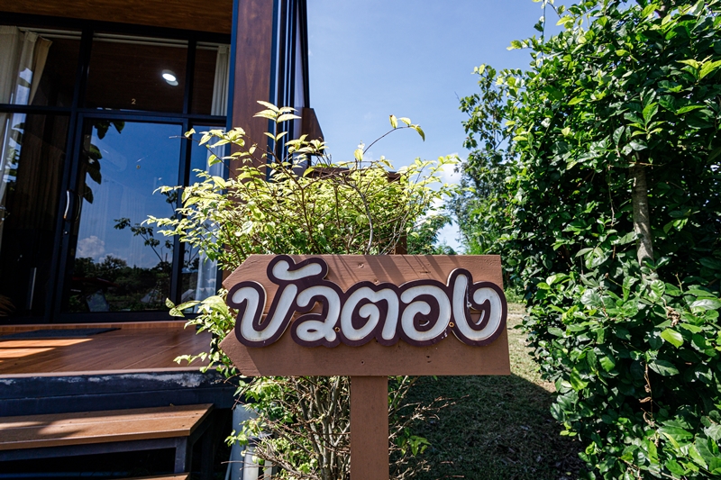 ห้อง บัวตอง