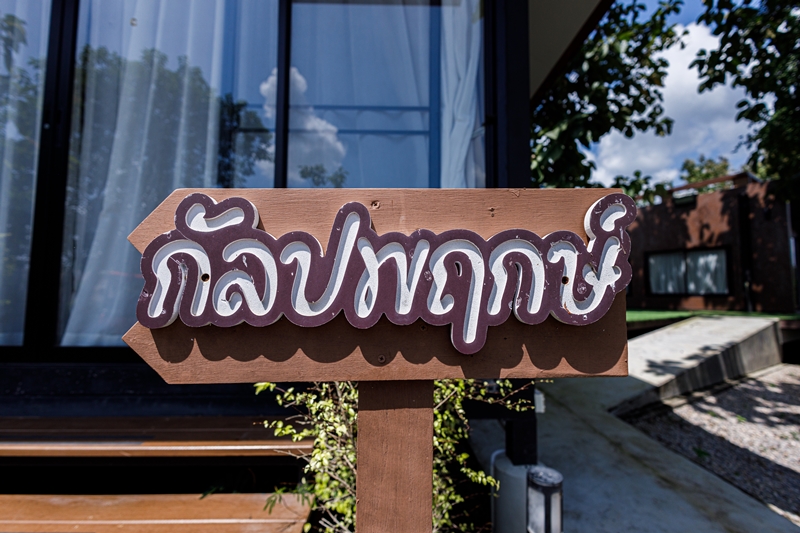 ห้อง กัลปพฤกษ์